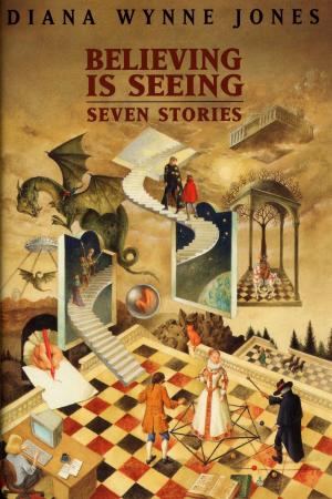 Cover of the book Believing Is Seeing by Diana Wynne Jones