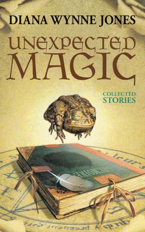 Cover of the book Unexpected Magic by Paul Fleischman