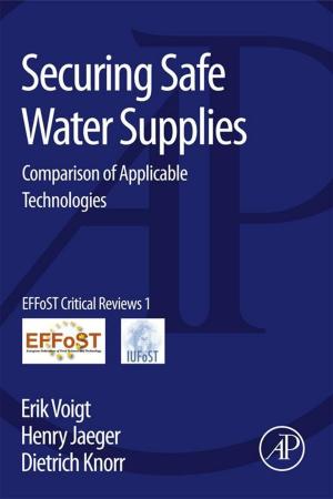 bigCover of the book Securing Safe Water Supplies by 