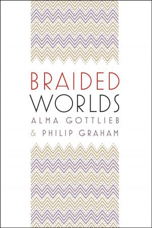 Cover of the book Braided Worlds by Kathy Eden