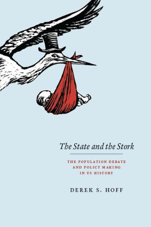 Cover of the book The State and the Stork by Rita Felski