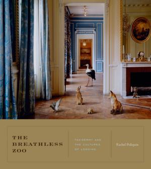 Cover of the book The Breathless Zoo by Theodore L. Brown