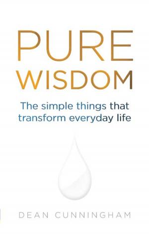 Cover of the book Pure Wisdom by Jason R. Rich