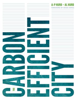bigCover of the book The Carbon Efficient City by 