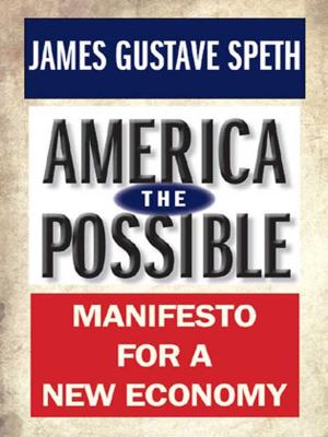 Cover of the book America the Possible by Prof. R. Shankar