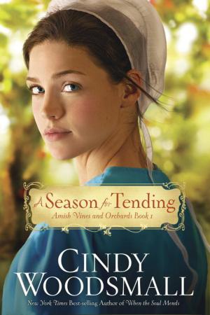 Cover of the book A Season for Tending by Cyriane Delanghe