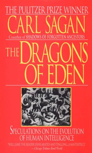 Cover of the book Dragons of Eden by Jen Silverman