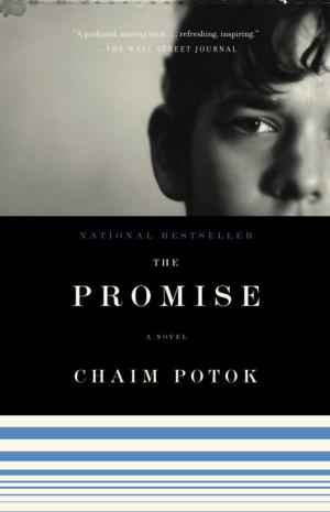 Cover of the book The Promise by Charles Willeford
