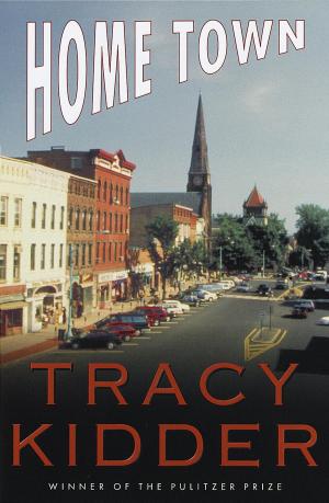 Cover of the book Home Town by Tami Hoag