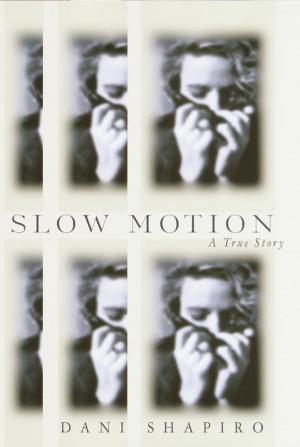 bigCover of the book Slow Motion by 