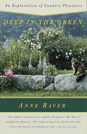 Cover of the book Deep in the Green by Marjorie Garber