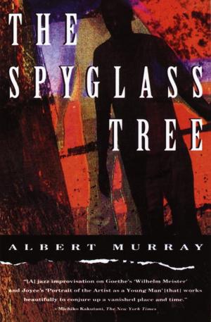 Book cover of The Spyglass Tree