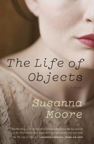 bigCover of the book The Life of Objects by 