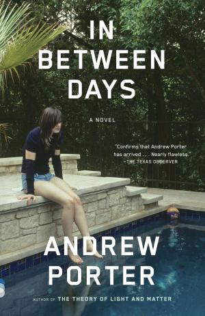 Cover of the book In Between Days by Ali Smith