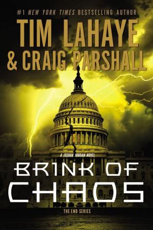 Cover of the book Brink of Chaos by Melody Carlson