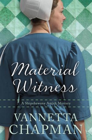 Cover of the book Material Witness by John S. Dickerson