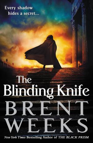 Book cover of The Blinding Knife
