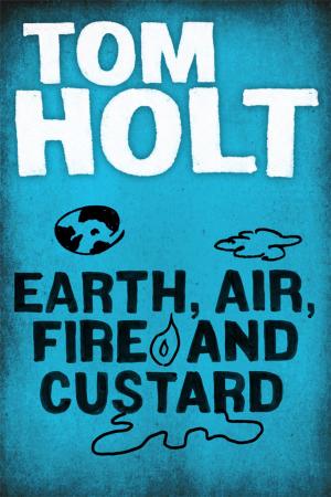 Cover of the book Earth, Air, Fire and Custard by Ginny Stone