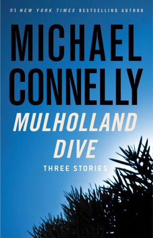 bigCover of the book Mulholland Dive by 