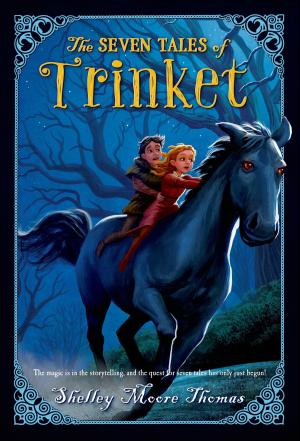 Cover of the book The Seven Tales of Trinket by Deborah Diesen
