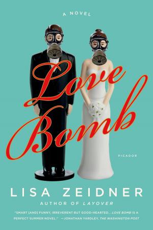 Cover of the book Love Bomb by Judith E. Stein