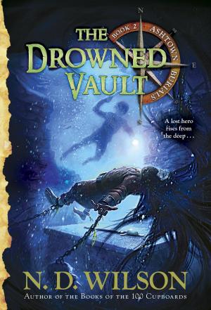 bigCover of the book The Drowned Vault (Ashtown Burials #2) by 