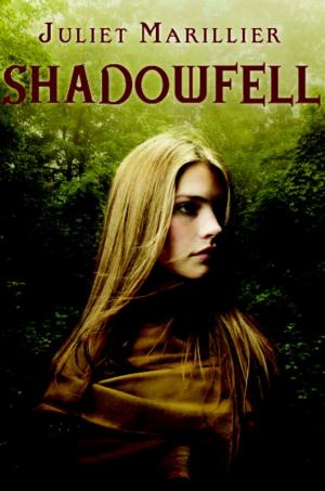 Cover of the book Shadowfell by Suzzy Roche