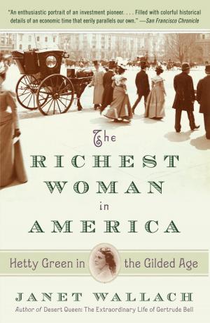 Cover of the book The Richest Woman in America by David Maurer