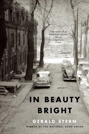 Cover of the book In Beauty Bright: Poems by Cordelia Fine