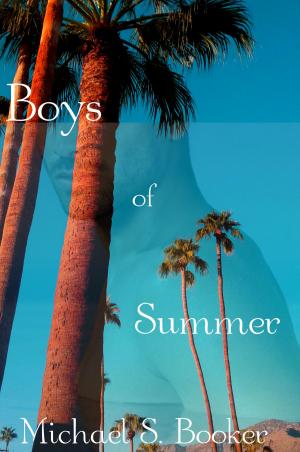 Cover of the book Boys of Summer by LJ Hamlin