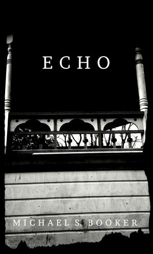 Cover of the book Echo by Alex McGillis