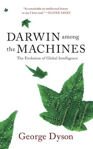 Cover of the book Darwin Among The Machines by David Rosenberg