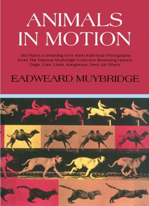 Cover of the book Animals in Motion by George C. Schatz, Mark A. Ratner