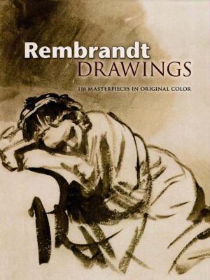 Cover of the book Rembrandt Drawings by Anna Starobinets