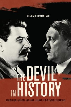 Cover of the book The Devil in History by David Hayes-Bautista