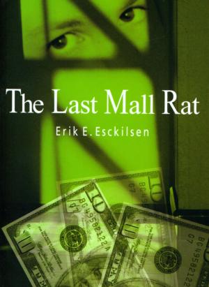 Cover of the book The Last Mall Rat by Matt Laney