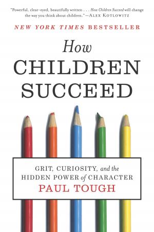 Cover of the book How Children Succeed by Karin Fossum