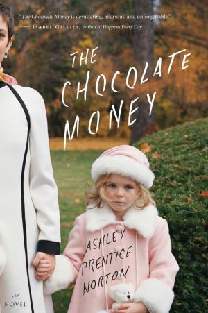 Cover of the book The Chocolate Money by Dave Lowry
