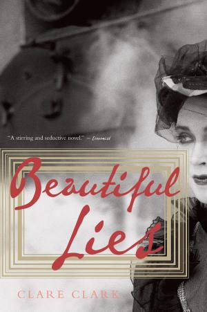 Cover of the book Beautiful Lies by Marilyn Singer
