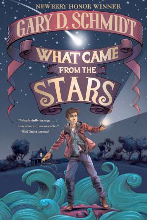 Cover of the book What Came from the Stars by Joan Aiken
