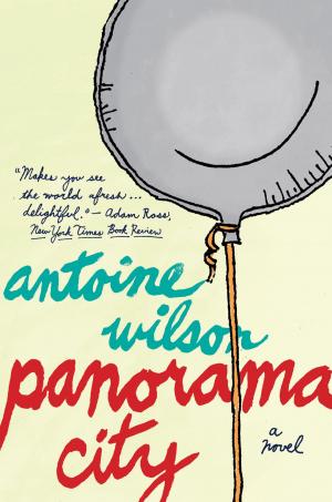Cover of the book Panorama City by Vivian Vande Velde