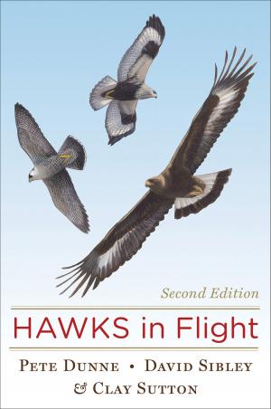 Book cover of Hawks in Flight
