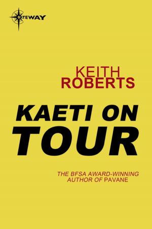 Cover of the book Kaeti on Tour by Guy Cullingford