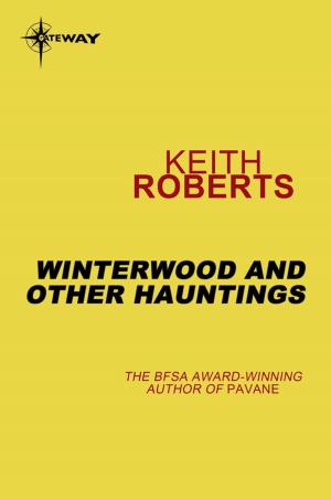 Book cover of Winterwood and Other Hauntings