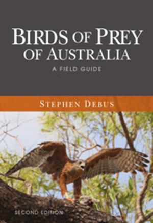 Cover of the book Birds of Prey of Australia by Gary  Beehag, Jyri Kaapro, Andrew Manners