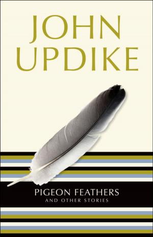 Cover of the book Pigeon Feathers by C. L. Parker
