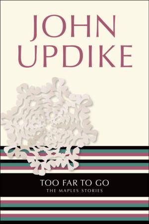 Cover of the book Too Far to Go by Deirdre Shaw