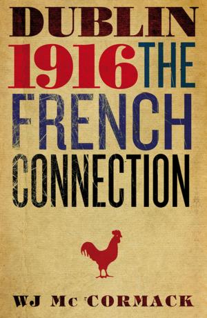 Cover of the book Dublin Easter 1916 The French Connection by Tomás O'Crohan