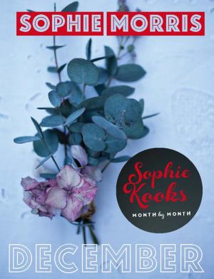 bigCover of the book Sophie Kooks Month by Month: December by 
