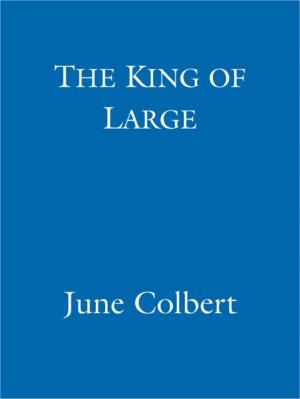 Cover of the book The King of Large by Colin Thompson